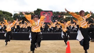 香川大学よさこい連　風華　2016年度 第17回 こいや祭り　1日目　太陽の広場(メイン会場)