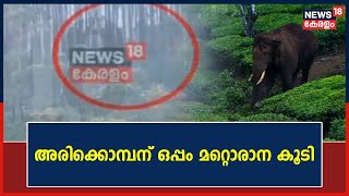 Mission Arikkomban | ദൗത്യത്തിന് വെല്ലുവിളിയായി അരിക്കൊമ്പന് ഒപ്പം മറ്റൊരാന കൂടി | Malayalam News