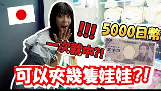 【日本夾娃娃】超好夾？！挑戰！日幣5000元可以夾到幾隻娃娃？！ in 東急歌舞伎町塔namco TOKYO