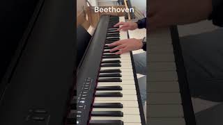 Succession inspired by Beethoven's Sonata Pathetique