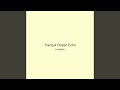 Tranquil Ocean Echo
