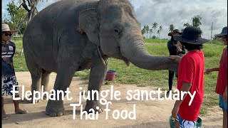 ഞങ്ങളുടെ മറ്റൊരു ദിവസം # Elephant jungle sanctuary #pattaya 🐘