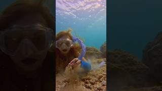 Underwater sand \u0026 shell ASMR #freediver #freediving #asmrvideo #asmrsounds #oceansounds #sand #shell