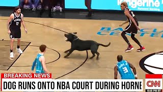 Ridiculous NBA Moments..