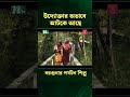 উদ্যোক্তার অভাবে আটকে আছে বরগুনার পর্যটন শিল্প ntvnews news latestnewsupdate