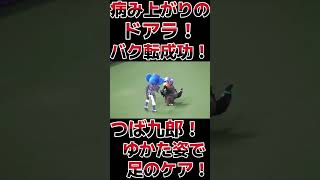 病み上がりのドアラ！バク転成功！つば九郎は足のケア！ #shorts