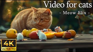 Charming Mice Explore Life for Cats to Enjoy🐭 Cute White Mice in Nature for Curious Cats 🐱 Meow Flix