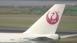 [2005 Haneda] JAL 747-400D《JL74J JA8908 HND051014》