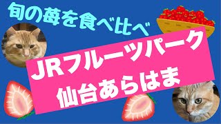 【仙台観光】昨年秋にオープンしたJRフルーツパーク仙台あらはまへ。そして寅次郎と源ちゃんは・・