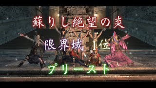 【DDON】蘇りし絶望の炎 限界域 1位 01'54\