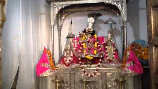 Radha Gopinath temple Kirtan part 2 Jaipur oct 30 2014