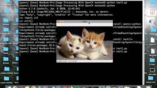 OpenCV Python Tutorials || Image And Video Analysis - part1