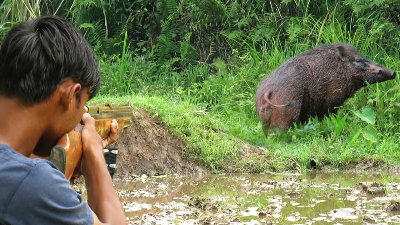 WILD BOAR HUNTING‼️bantu Warga Dari Babi Hutan Besar Lepas Dari Jerat ...