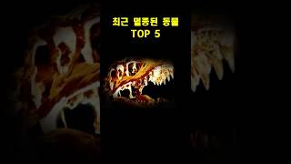 최근 멸종된 동물 TOP 5 🦏