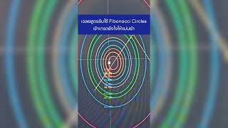 เฉลยสูตรลับใช้ Fibonacci Circles เข้าเทรดยังไงให้แม่นยำ