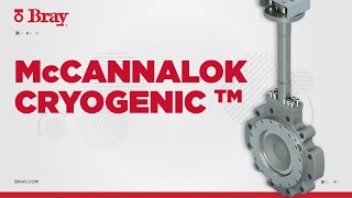 Butterfly Valve | McCannalok™ Cryogenic | Bray High Performance Valves