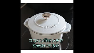 ココハン１２センチで玄米炊いてみた