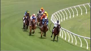 Goldman - Pakenham Cup 2500m Listed Race 2024 - Trained by Gai Waterhouse \u0026 Adrian Bott