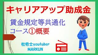 キャリアアップ助成金賃金規定等共通化コース①概要2022 07 20