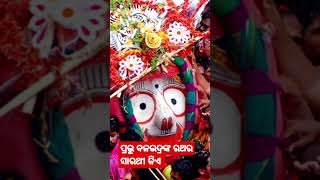 ପ୍ରଭୁ ବଳଭଦ୍ରଙ୍କ ରଥ ର ସାରଥୀ କିଏ  🙏 Viral VIDEO # shorts Feed # trending # yt Shorts