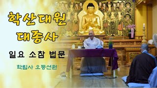 학림사 오등선원 대원스님 2024-06-16 소참법문