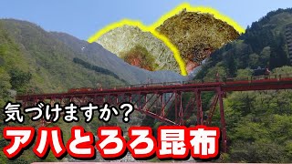 【脳トレ？】富山の「とろろ昆布おにぎり」がアハ体験のように現れる動画（富山のグルメ・お土産、景色・風景）