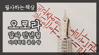 가을 한 권 (ft. 오로라 알파 만년필 실제 사용 영상)