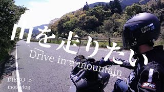 バーグマン200☆山を走る☆burgman 200/Drive in a mountain ☆English subtitle