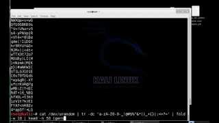 Random Password generator bash