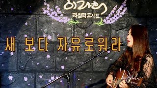 이라희 _ 새 보다 자유로워라(유익종)