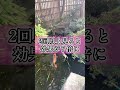 遠隔参拝しましょう。　 恋 恋愛 復縁 縁結び 神社 神社巡り 縁結び神社 遠隔ヒーリング ヒーリング 恋愛