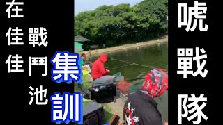 （福壽魚技研）唬戰隊在佳佳戰鬥池集訓，精彩鏡頭2020.8.30（唬香精拌池主粒子就咬翻了）戰鬥池平均魚體ㄧ斤左右⋯⋯優質的池塘！