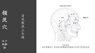 人体穴位251：颔厌：清风散热止头痛，用指尖按揉颔厌穴2～3分钟，长期坚持，可改善头痛、眩晕 20220302