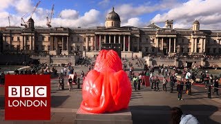 Why there's a new lion in Trafalgar Square - BBC London