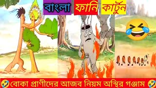 বোকা প্রাণীদের আজব নিয়ম অস্থির গঞ্জাম । বাংলা ফানি কার্টুন🤣🤣 #cartoon #funnycartoon #banglacartoon