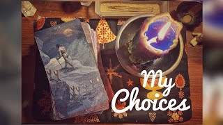 Terra Volatile Collectors Edition ~ Choosing MY Deck!