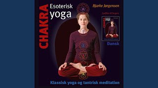 Energiens kilde 2 (Agya chakra)