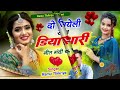 सदाबहार लेडीज गीत 2025 ~डिया थारी नीत गंदी च ~ सिंगर रामू ठीकरिया meena_geet newmeenageet song