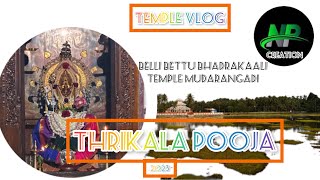 Sri Bhadrakaali Temple | Bellibettu | MUDARANGADI | Dharmadharshi Vishwanatha Devadiga |NP creation