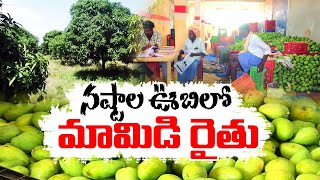 Mango Farmers Woes | Joint Palamuru Area | ఉమ్మడి మహబూబ్‌నగర్‌ జిల్లాలో నష్టాల ఊబిలో మామిడి రైతులు