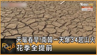 天暖春旱!南韓一天爆34起山火 花季全提前｜張允曦｜FOCUS全球新聞 20230403@tvbsfocus