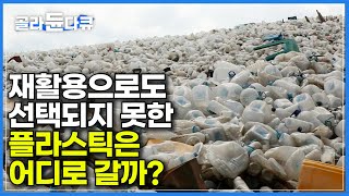 한국인 1인당 연간 플라스틱 소비량 98.2kg! 그 많은 플라스틱은 다 어디로 가는 걸까?ㅣ국경을 넘나드는 바다 쓰레기ㅣ플라스틱을 먹이로 착각한 새ㅣ세계 환경의 날ㅣ#골라듄다큐