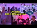 Samo za lepe vlajne-Orkestar Borka Radivojevica-Andrea & Milos ( 2021)