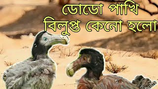 বিলুপ্ত ডোডো পাখির অজানা রহস্য//The extinct bird dodo screams  #বিলুপ্ত ডোডো পাখির#অজানা রহস্য