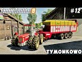 Raking & picking up straw, harvesting tobacco | Tymonkowo | Farming simulator 19 | Timelapse #12