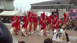 半布里　2015　「岐聖祭」2