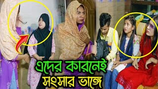 এমন হিংসুটে বোন ঘরে ঘরে আছে, এদের জন্যই সংসার ভাঙ্গে।