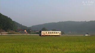 鉄道のある風景 JR福塩線 残暑見舞 (17-Aug-2013)