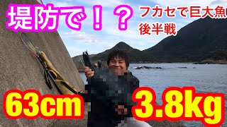 フカセ釣りで巨大魚を釣る！【後半】魚とのギリギリの闘い【屋久島】