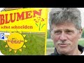 Unehrliches Deutschland? Blumen-Bauern werden beklaut & ausgenommen  | SAT.1 Frühstücksfernsehen